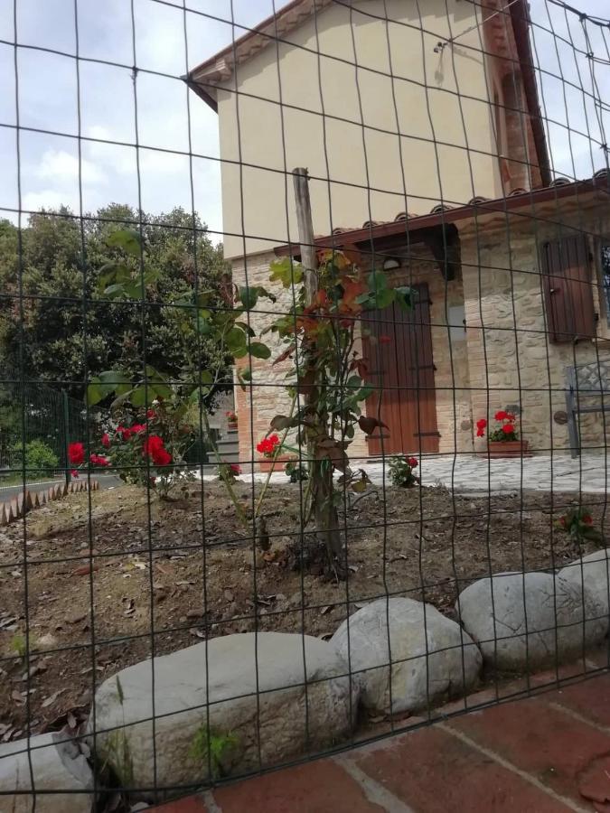 La Casetta Della Letizia Colle  외부 사진